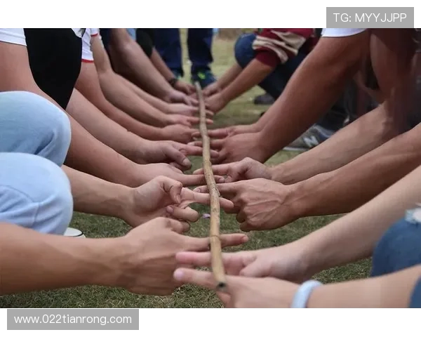 V5职业联赛表现分析：意识与团队协作的完美结合