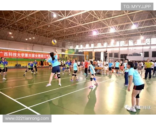 重庆排球队的运营揭秘与深度分析探讨排球运动的未来发展之路