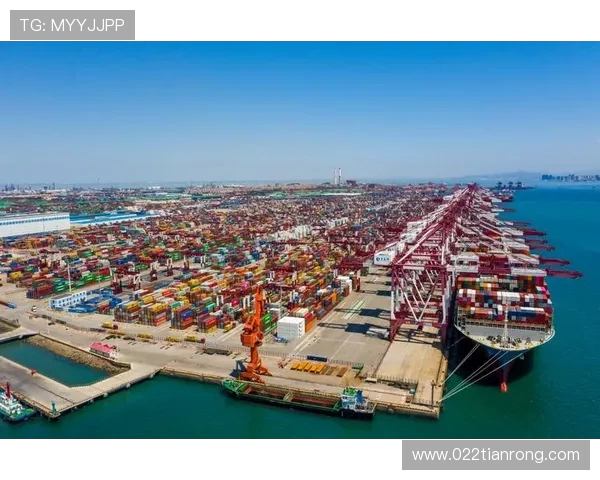 上海海港发展新机遇:推动国际贸易与航运物流转型升级