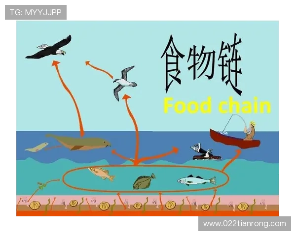 以向鱼王者为核心探究水域生态系统中食物链的稳定与演化规律